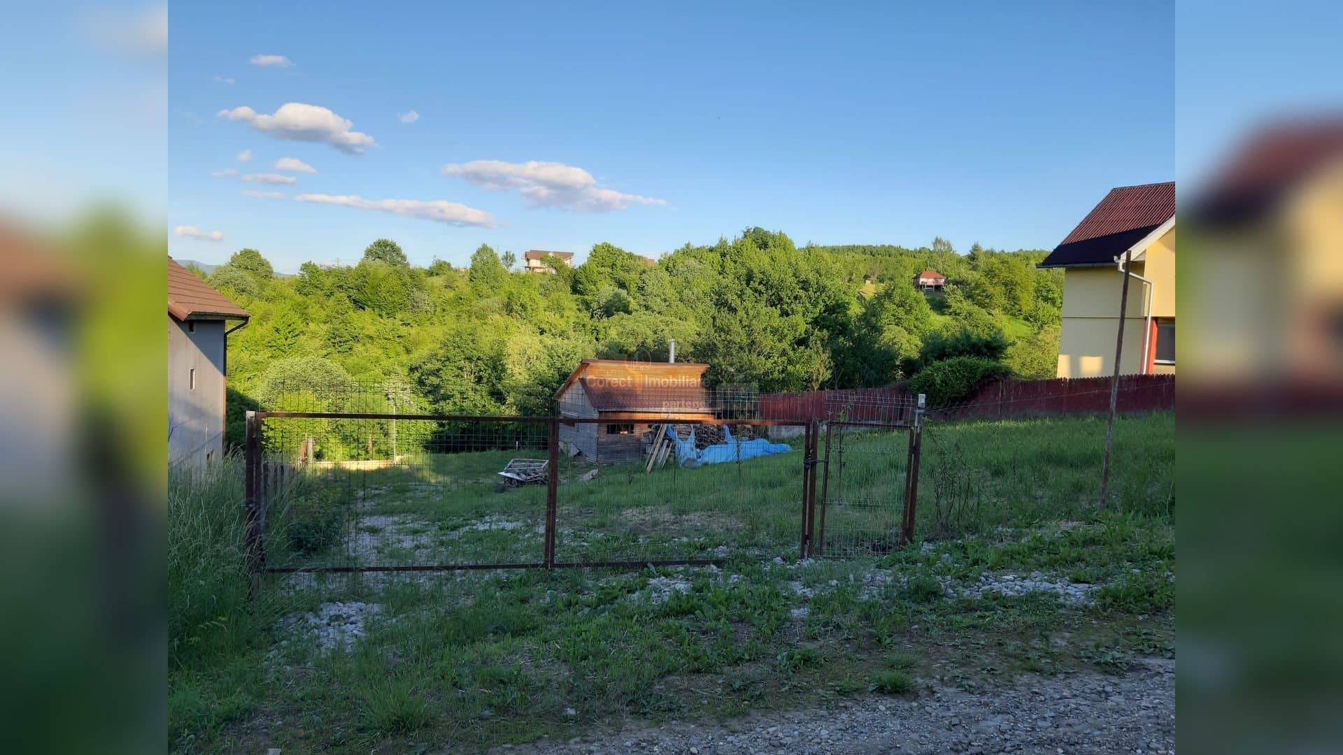 Teren intravilan | 1.244 mp | Strada Paltinului – Valea Ghinzii — 6